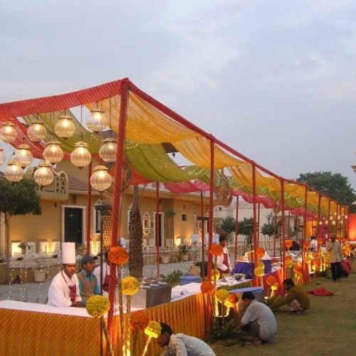 Food Canopy